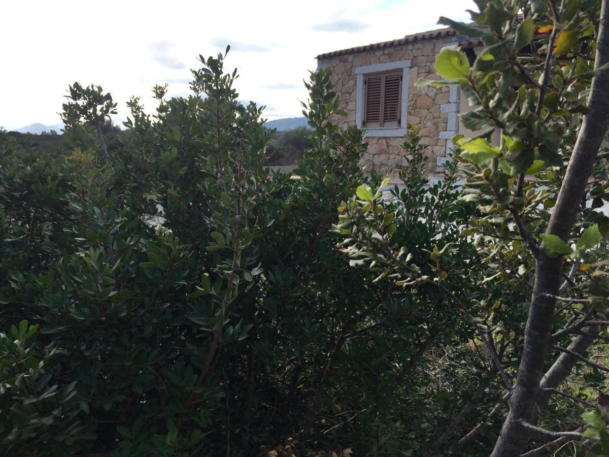 Villa Domo Sara Orosei Exterior foto